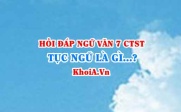 Tục ngữ là gì? Đặc điểm của tục ngữ là gì? Ngữ Văn lớp...